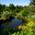 Beautifully landscaped Rockery  RHS Wisley