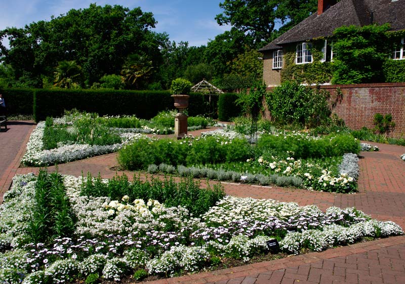 Wisley Garden - The White Garden - white varieties include  Nemesia, Verbena, Lantana, Lobelia and Argyranthemum