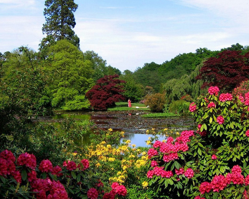 Wonderful walks with a variation around every corner -  Borde Hill Garden