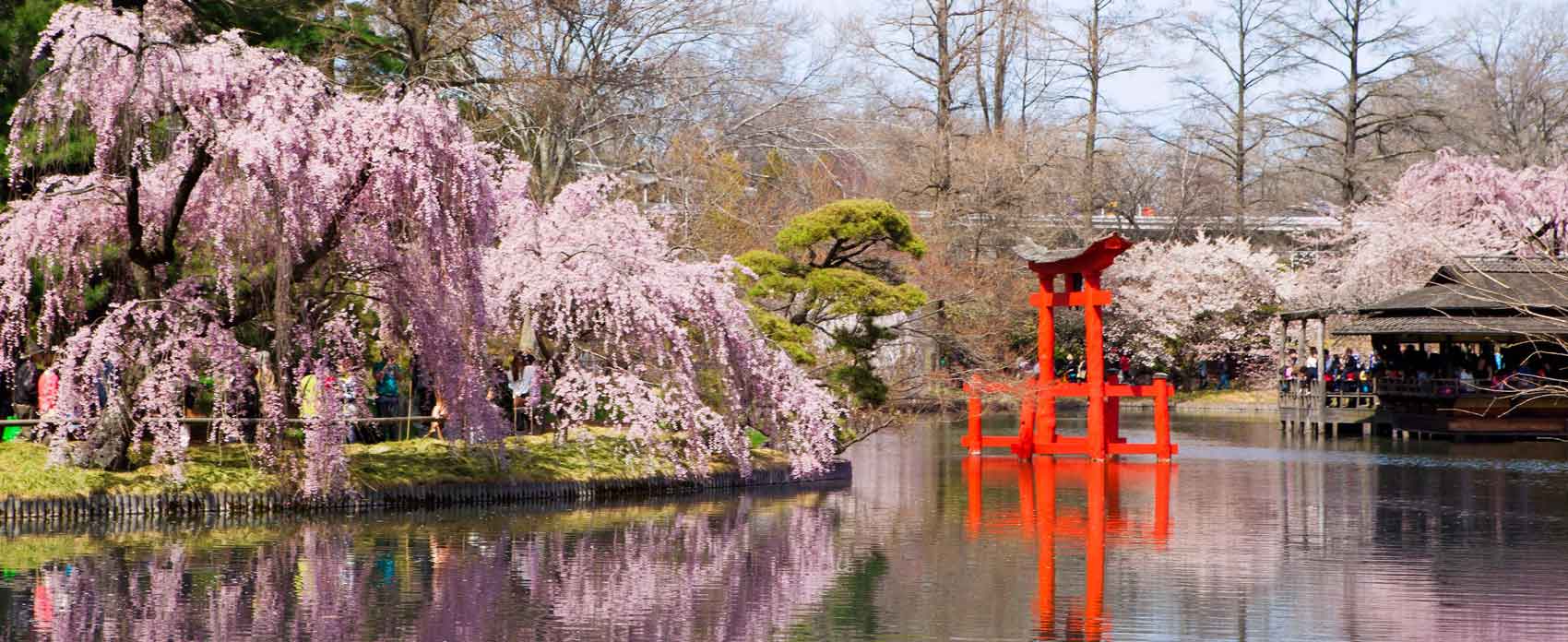 Brooklyn Botanic Gardens in springtime