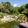 The Water Gardens  photo:  Royal Botanic Gardens and Domain Trust -Simone Cottrell