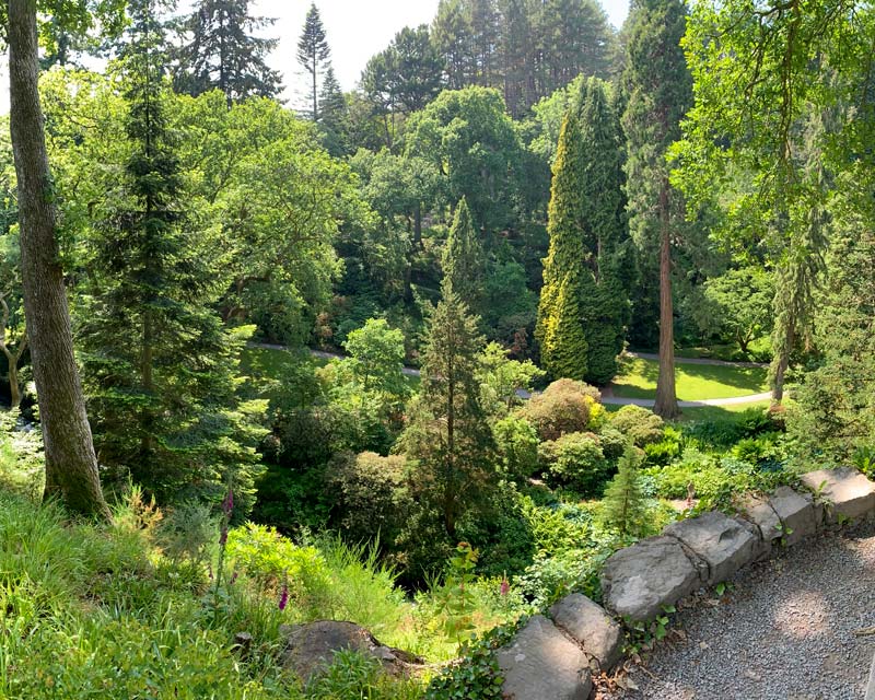 Mature tree collection, Bodnant