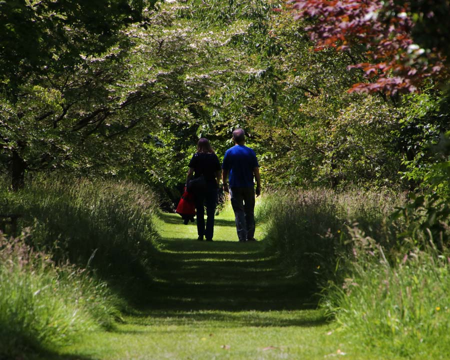 Shady walks, Bodnant