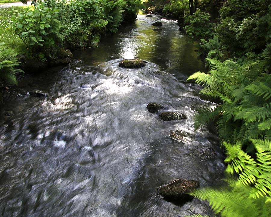 Dell Stream, Bodnant