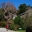 Courtyard entrance to shop and Tea Rooms - Caerhays Castle and Gardens