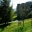 View across Caerhays Gardens to Porthluney Cove