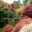 Acer Glade in autumn Garden House, Devon