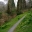 Lime Tree Walk in spring Garden House, Devon