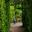 Green, as far as the eye can see  - The Gardens of Marqueyssac