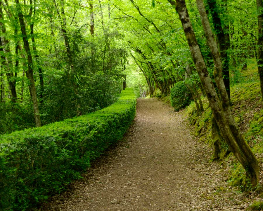 Some walks are delightfully shady - The Gardens of Marqueyssac