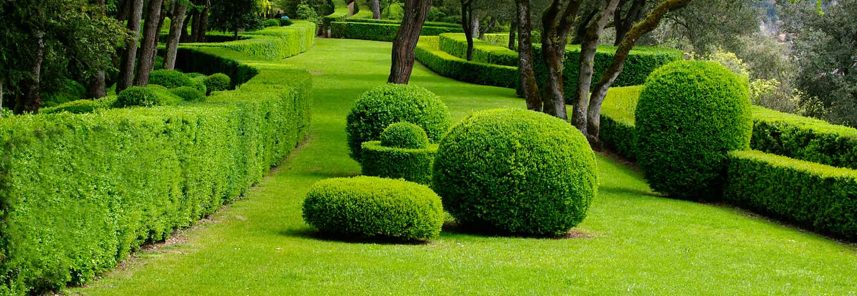 Marqueyssac - topiary everywhere