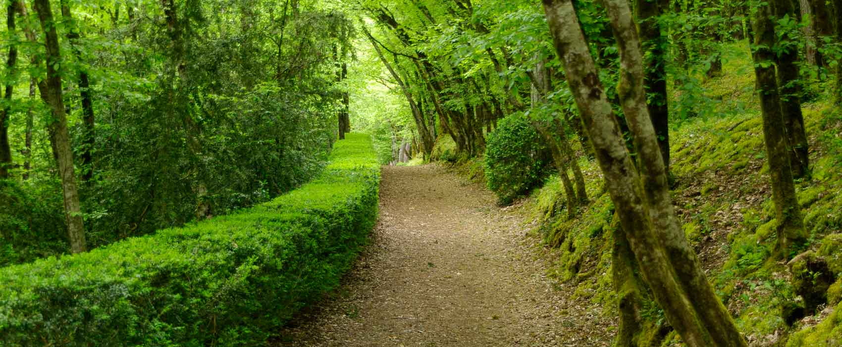 Marqueyssac - woodland walks aplenty