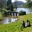 Palladian Bridge - Stourhead Gardens