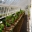 Glasshouse in the walled garden - Stourhead Gardens