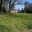 Lawns at rear of house - Stourhead Gardens