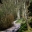 Paths towards lake - Stourhead Gardens