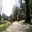 The Gothic Cottage - Stourhead Gardens