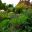 Great Dixter - Orchard Garden