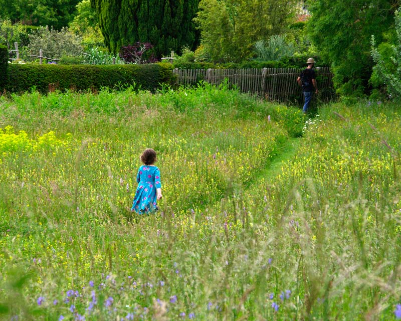 Great Dixter - Prairie