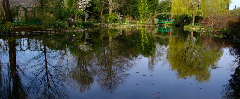 That famous lake - Giverny - Monet's Garden