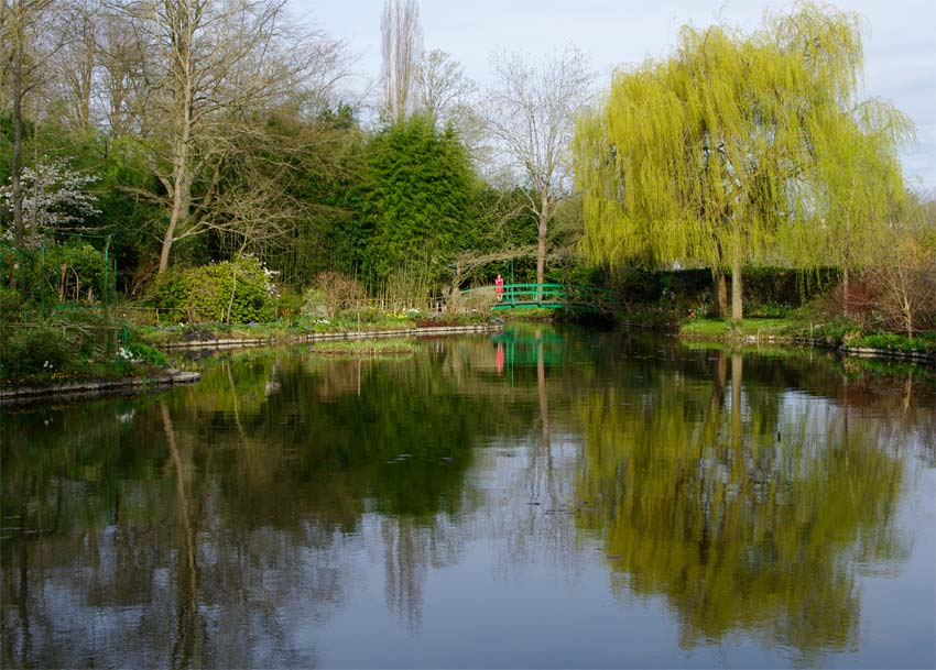 So many great views across this lake - Giverny - Monet's Garden