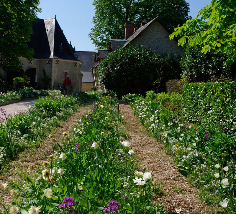 floral borders along path to the farmyard - Chaumont sur Loire