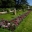 Borders of reds and pinks in the Catherine de Medici garden - Chateau de Chenonceau