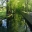 Even the moat is pretty -  - Chateau de Chenonceau