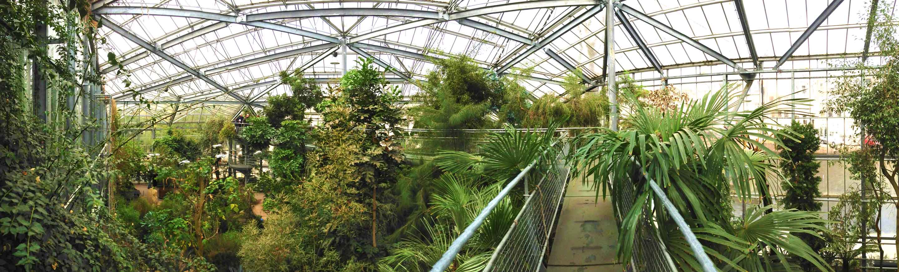 De Hortus Botanicus Amsterdam