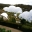 The biomes look as if freshly landed from space. Eden Project