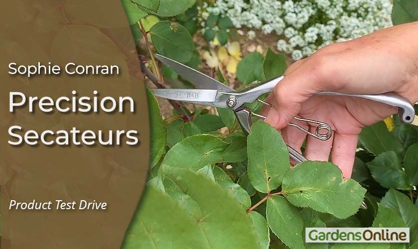 Precision Secateurs - Sophie Conran