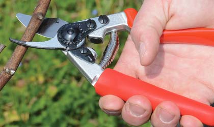 Pruning Secateurs Felco12 - Rotating Handle