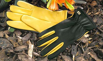 Dry touch Garden Gloves - Gold Leaf