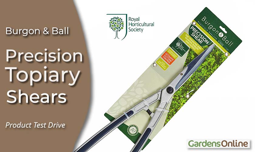 Precision Topiary Shear - RHS endorsed - Burgon and Ball