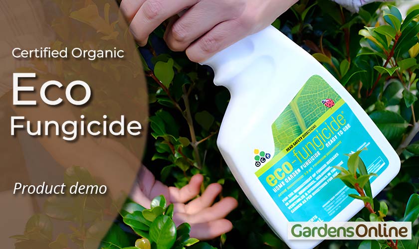 Eco-Fungicide