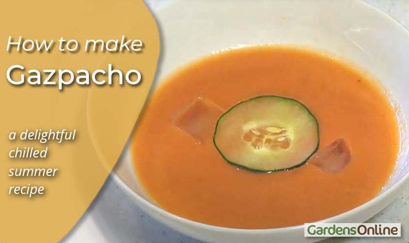 Gazpacho