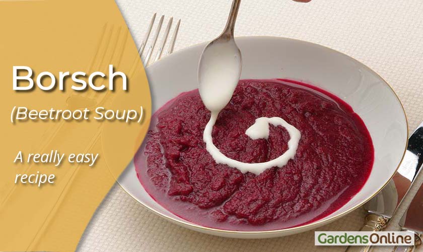 Borsch - Beetroot Soup