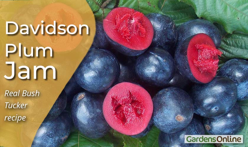 Davidson Plum Jam