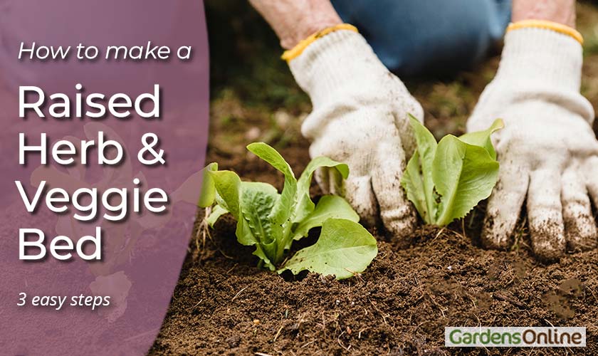 Making a Raised Herb and Vegetable Garden