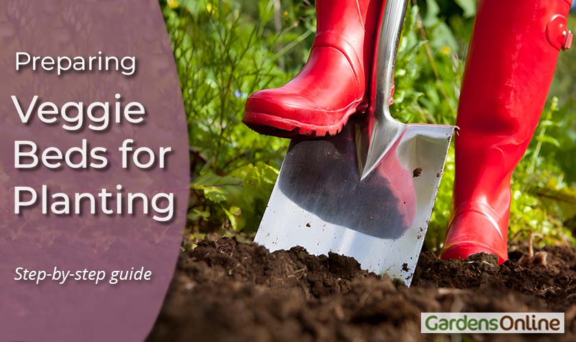 Preparing a Veggie Bed for Planting